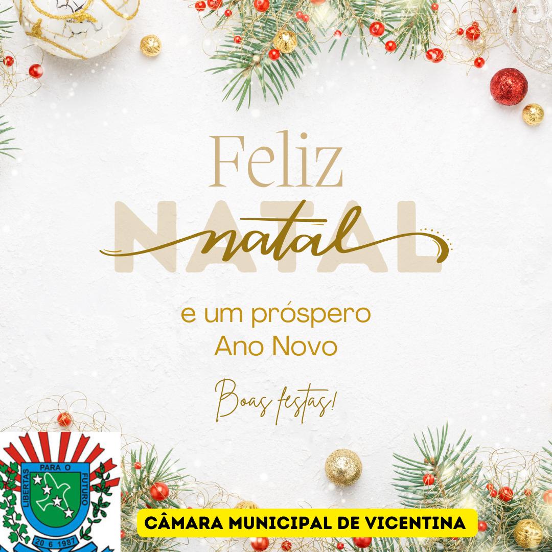 A Câmara de Vereadores deseja a todos um Feliz Natal e próspero Ano Novo!